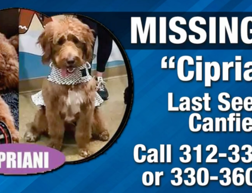 Phantom Fireworks Owner Offers Reward for Missing Dog